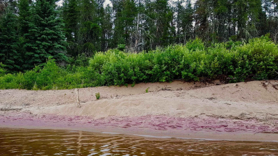 Discover the purple sand wonders of Canada's Candle Lake