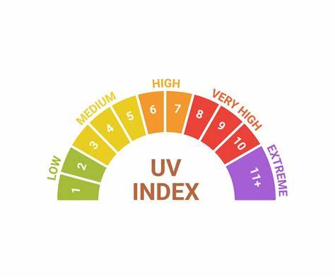 Invisible Threats in the Sun: Revealing the effects of ultraviolet light and protection strategies